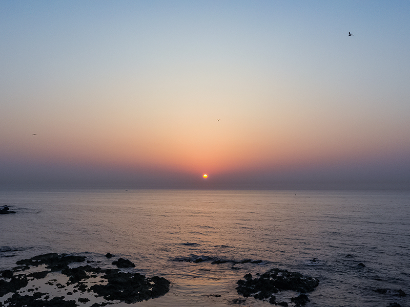 DJI_0979.jpg